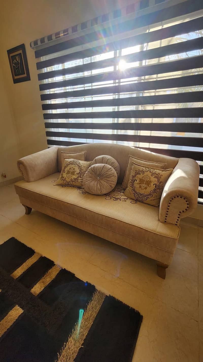 Customized sofa set with center table 1