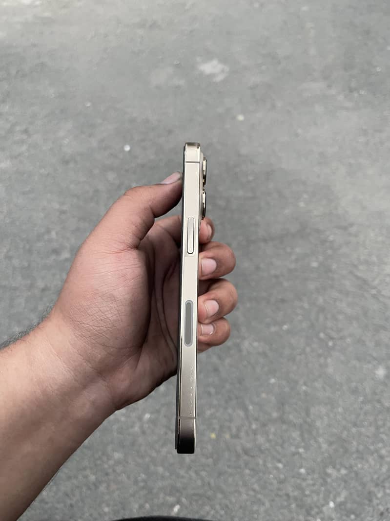Apple iPhone 13 Pro 1