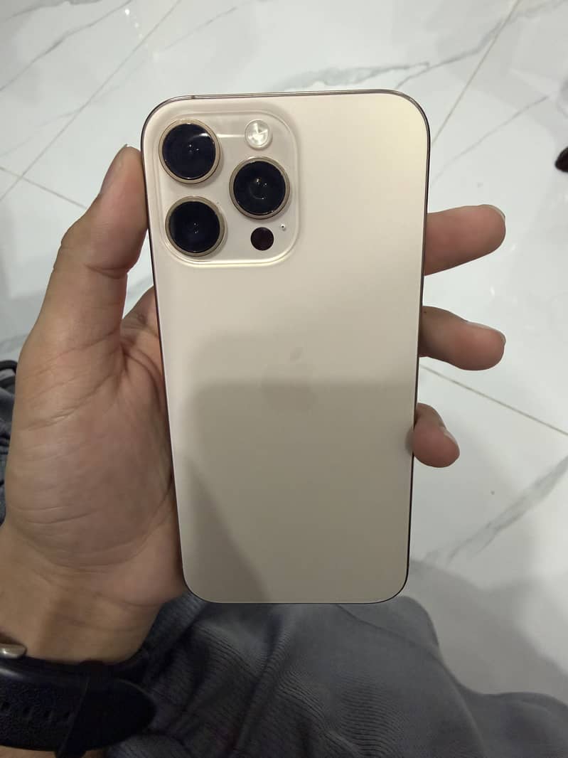 Apple iPhone 16 Pro Max 1