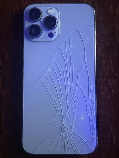 Apple iPhone 13 Pro Max