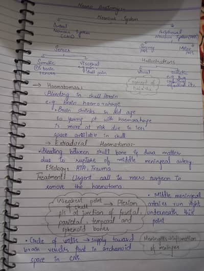 assignment writing