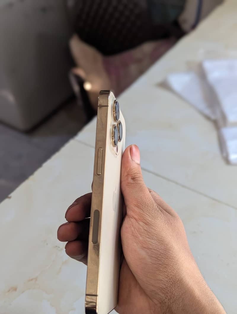 PTA approved 13pro 1