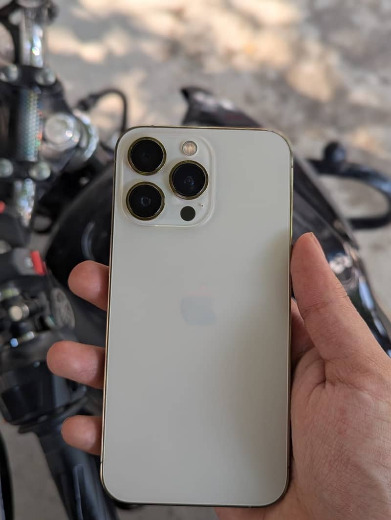 PTA approved 13pro 3