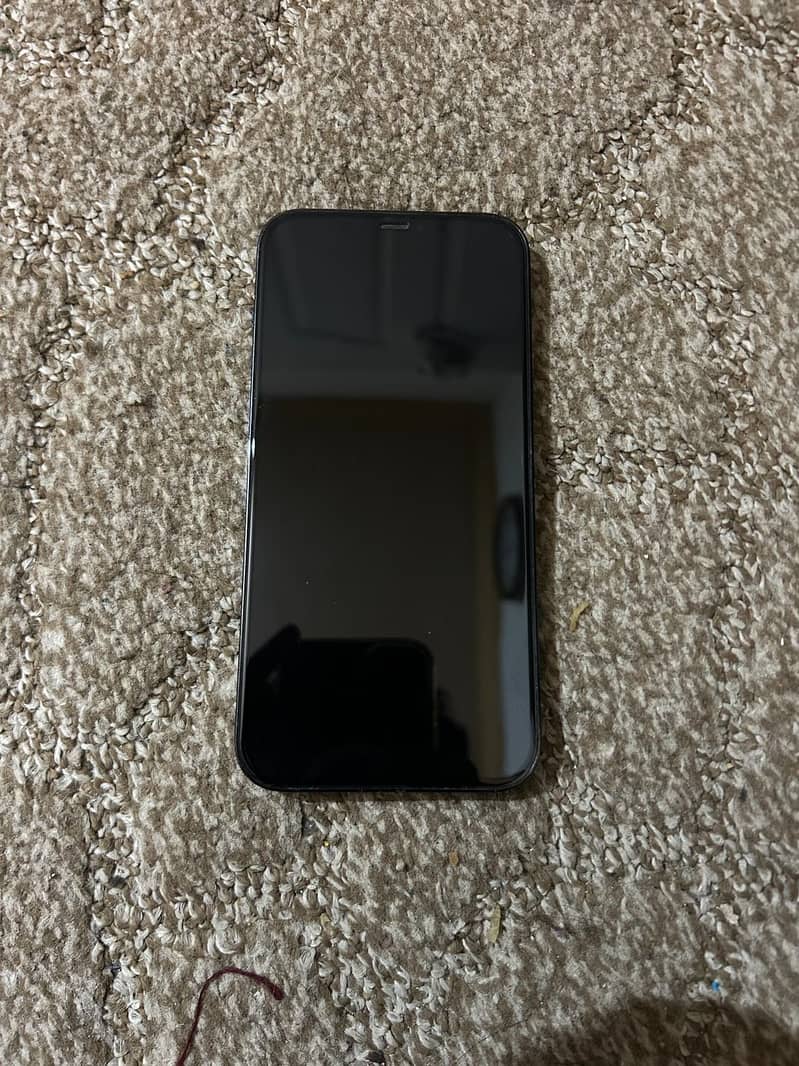Apple iPhone 12 Pro Max 1
