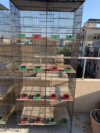8 portions cages 1.5x. 1.5x1.5 and love birds for sale
