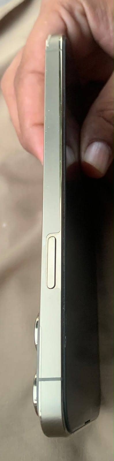 Apple iPhone 13 Pro Max 4