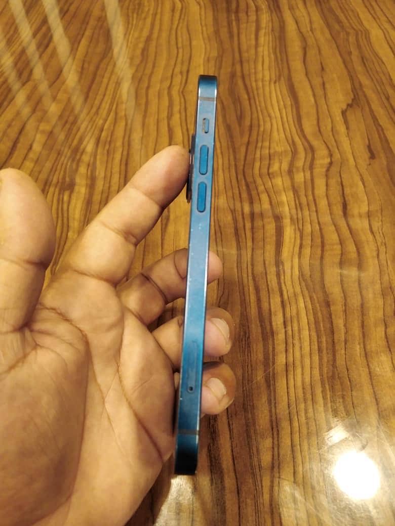 Apple iPhone 12 1