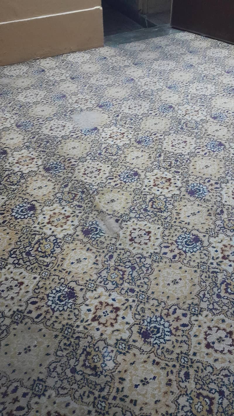 printed carpet 3