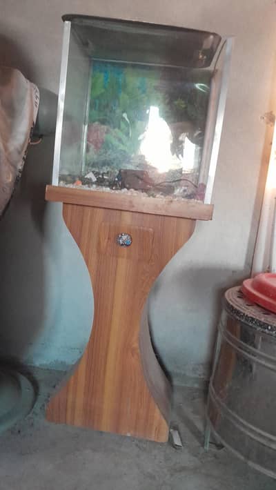 equarium
