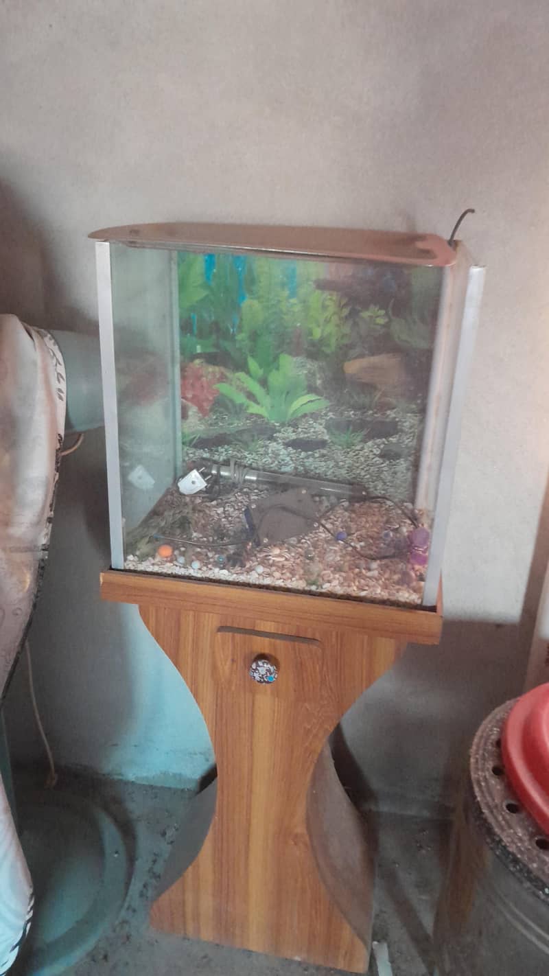 equarium 1
