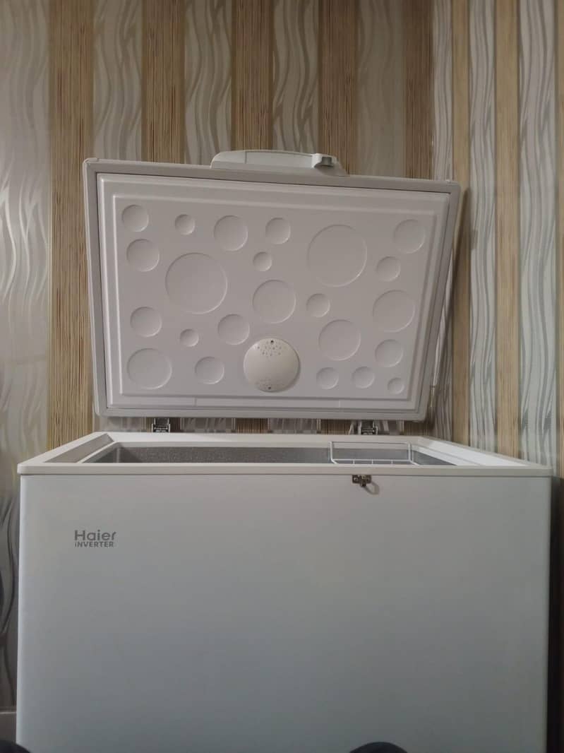 deep-freezer 2