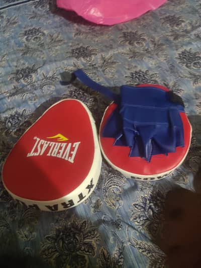 bag gloves and training pads