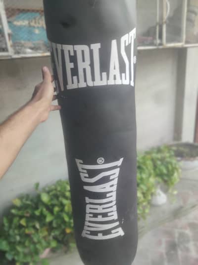 bag gloves and training pads