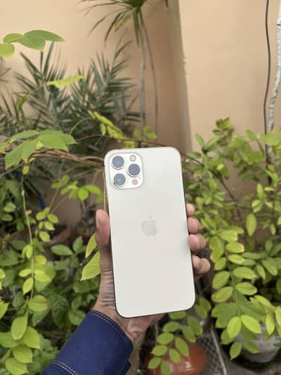 Apple iPhone 12 Pro Max full sim time available Waterpack 91 health