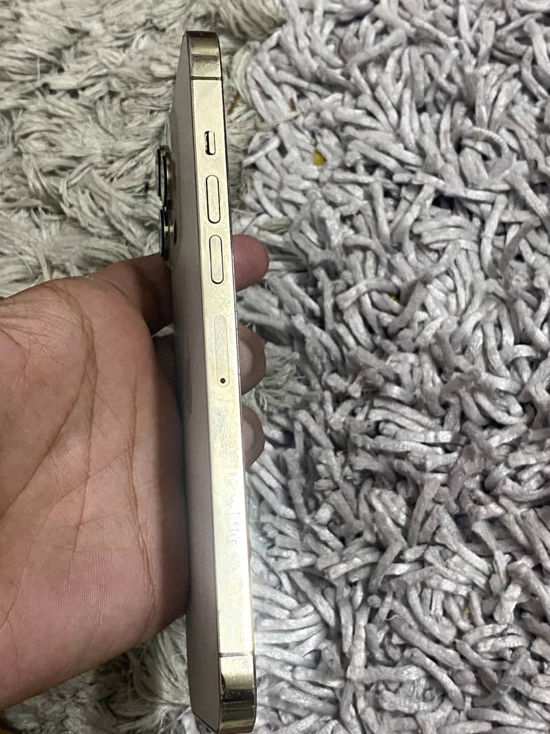 Iphone 13 pro max 0