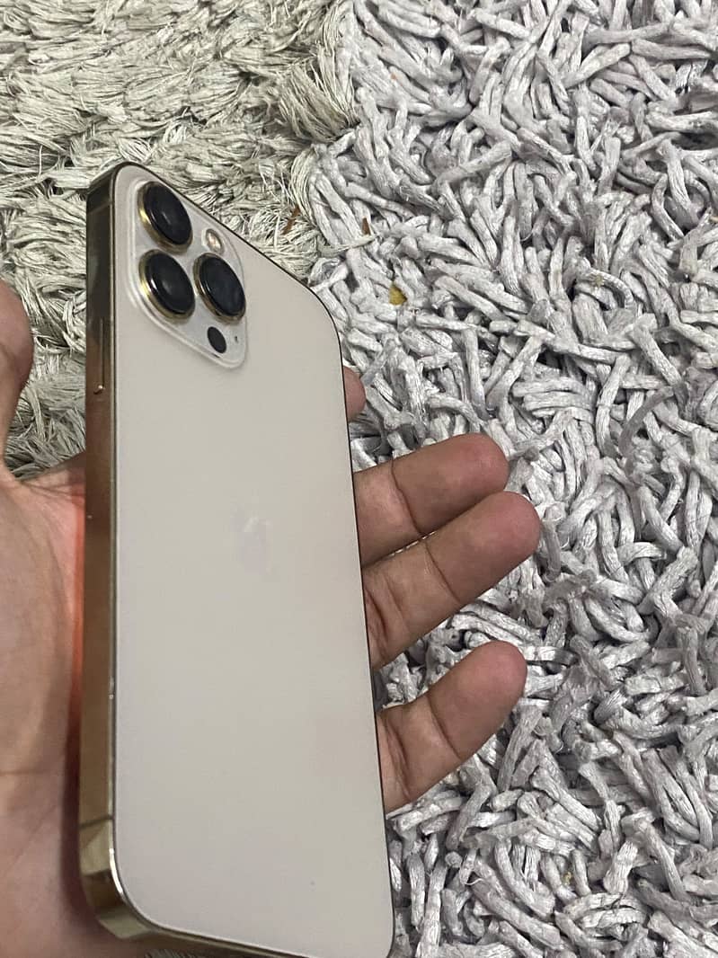 Iphone 13 pro max 1