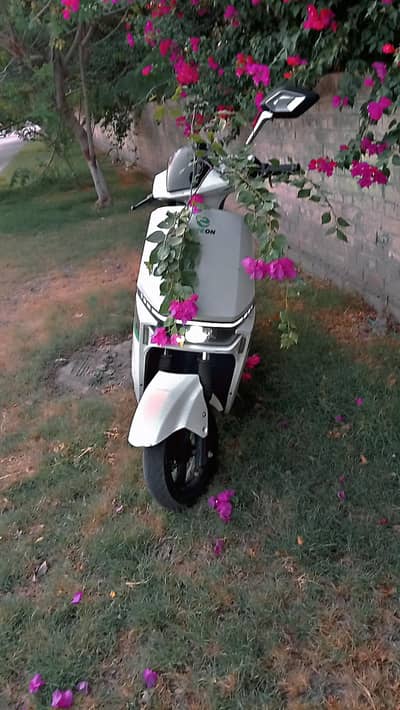 Clean & Powerful Scooty | Alloy Rims | Best Condition
