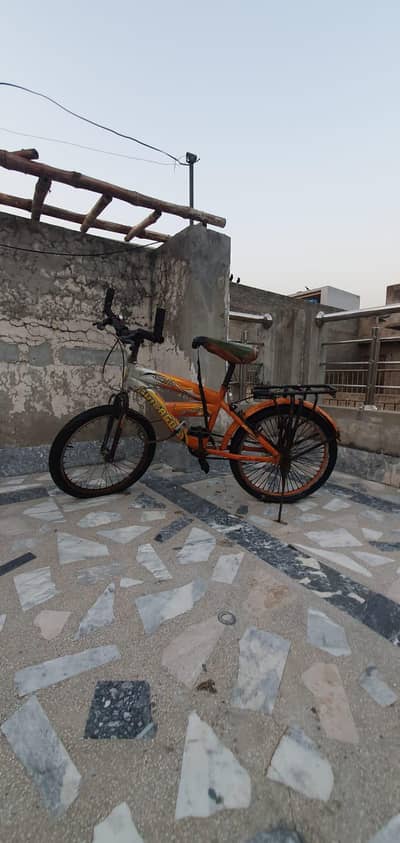 20 Sized Cycle for Kids