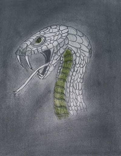 Snake