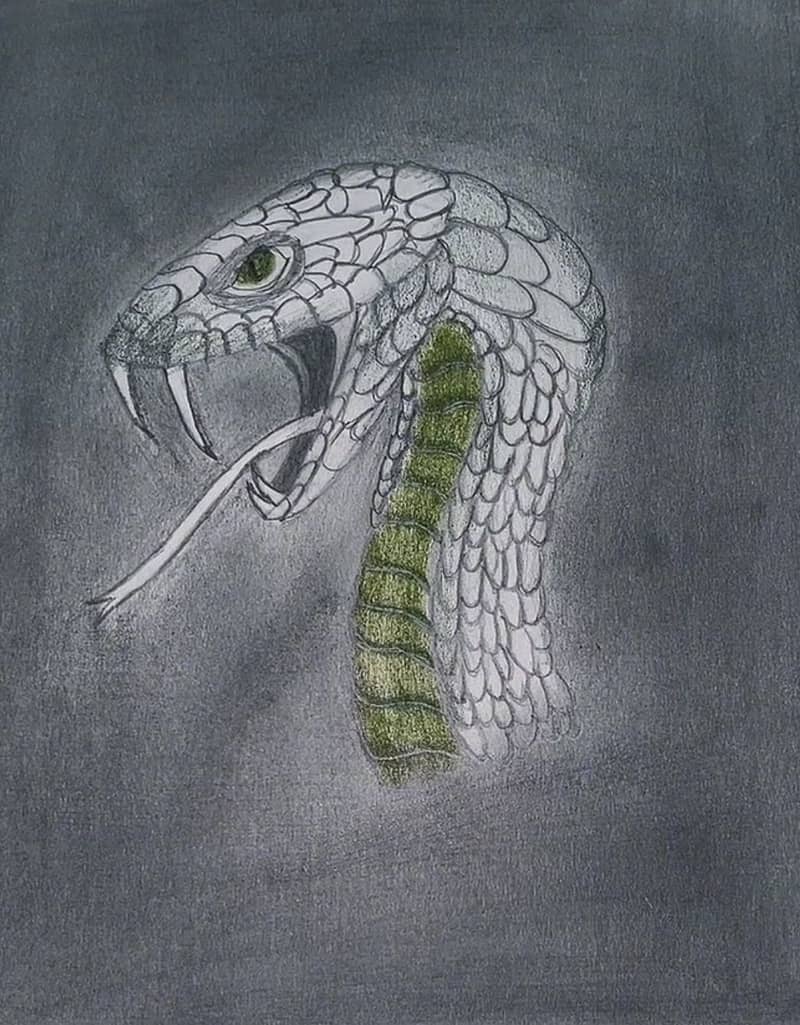 Snake 0