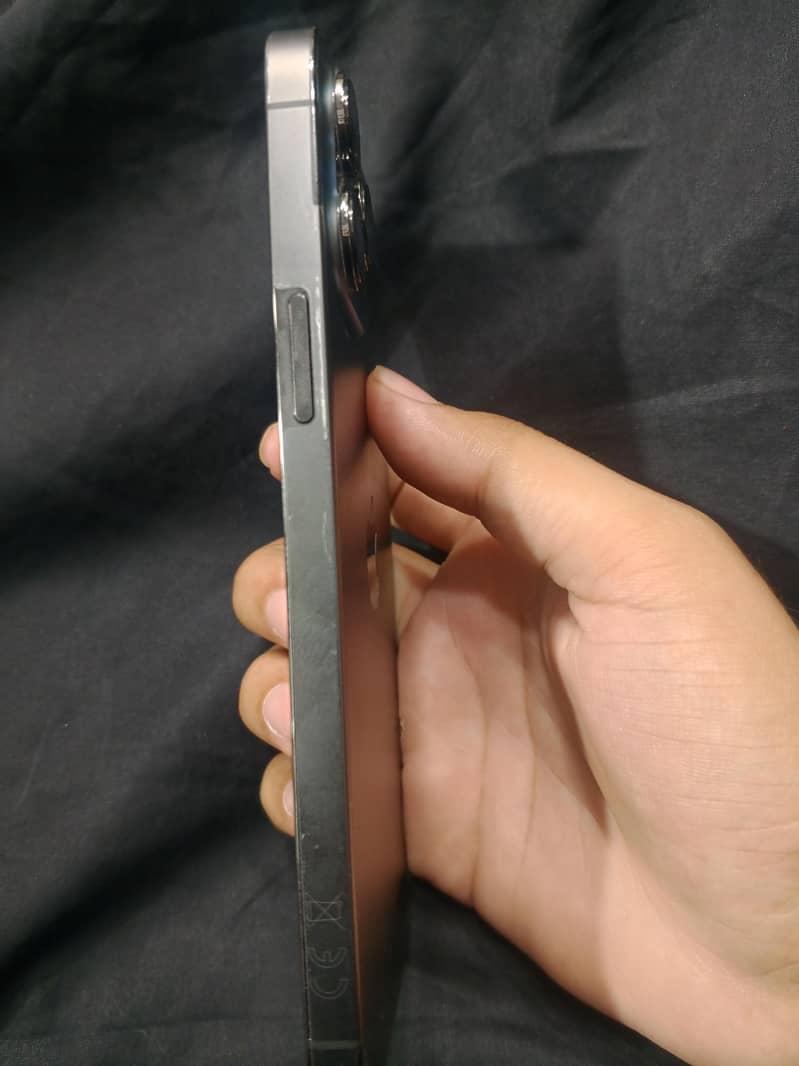 Apple iPhone 13 Pro Max 2