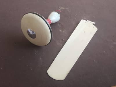 Old Fans in good condition