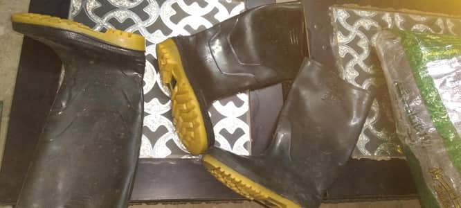 New shoes.  Reasonable price