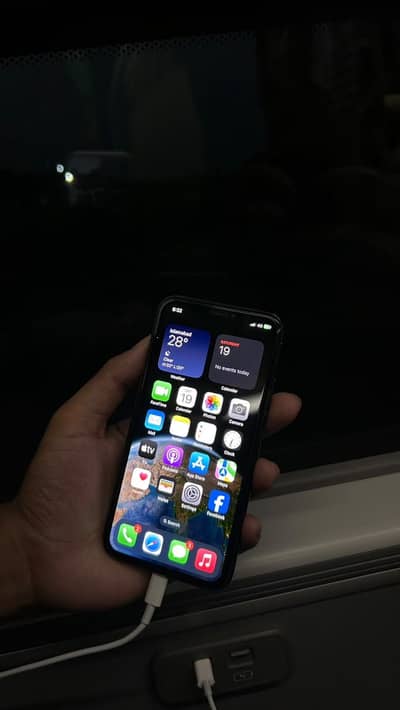 Apple iPhone X