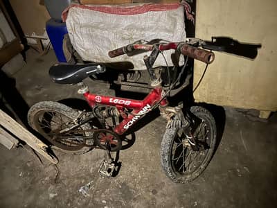 cycle kids