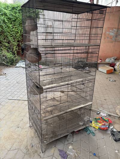 Birds cage