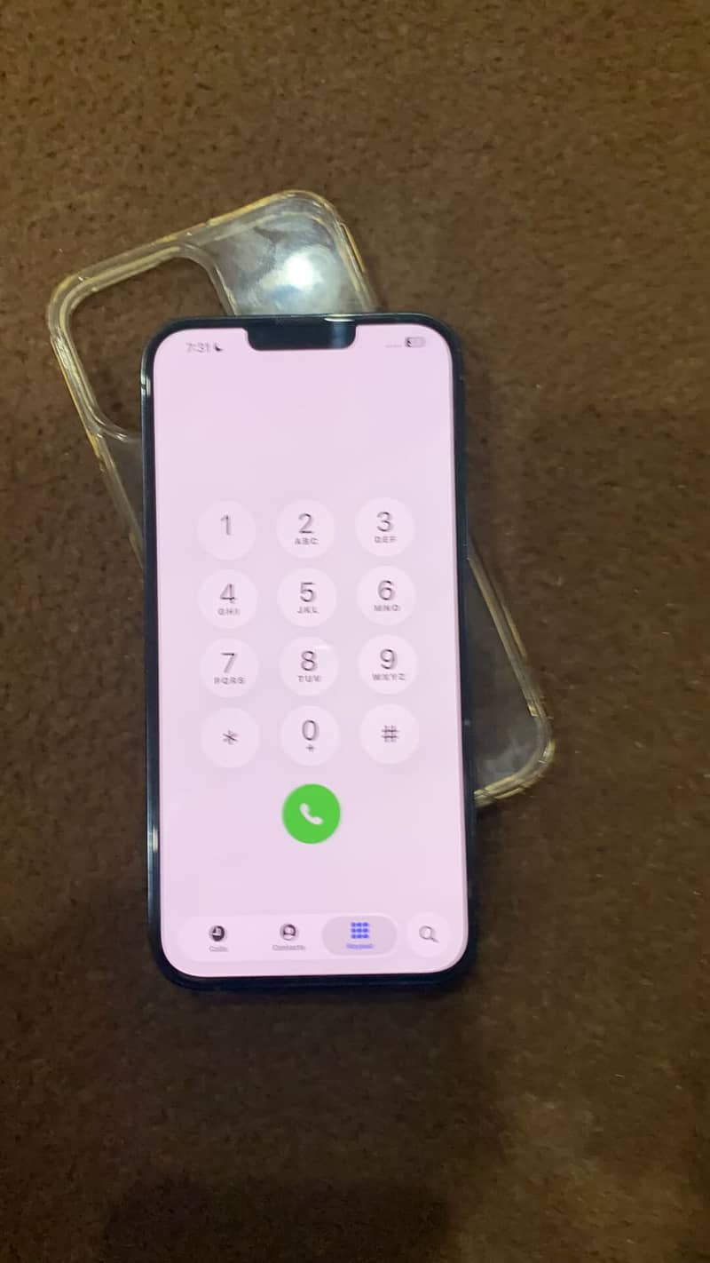 Apple iPhone 13 Pro Max 1
