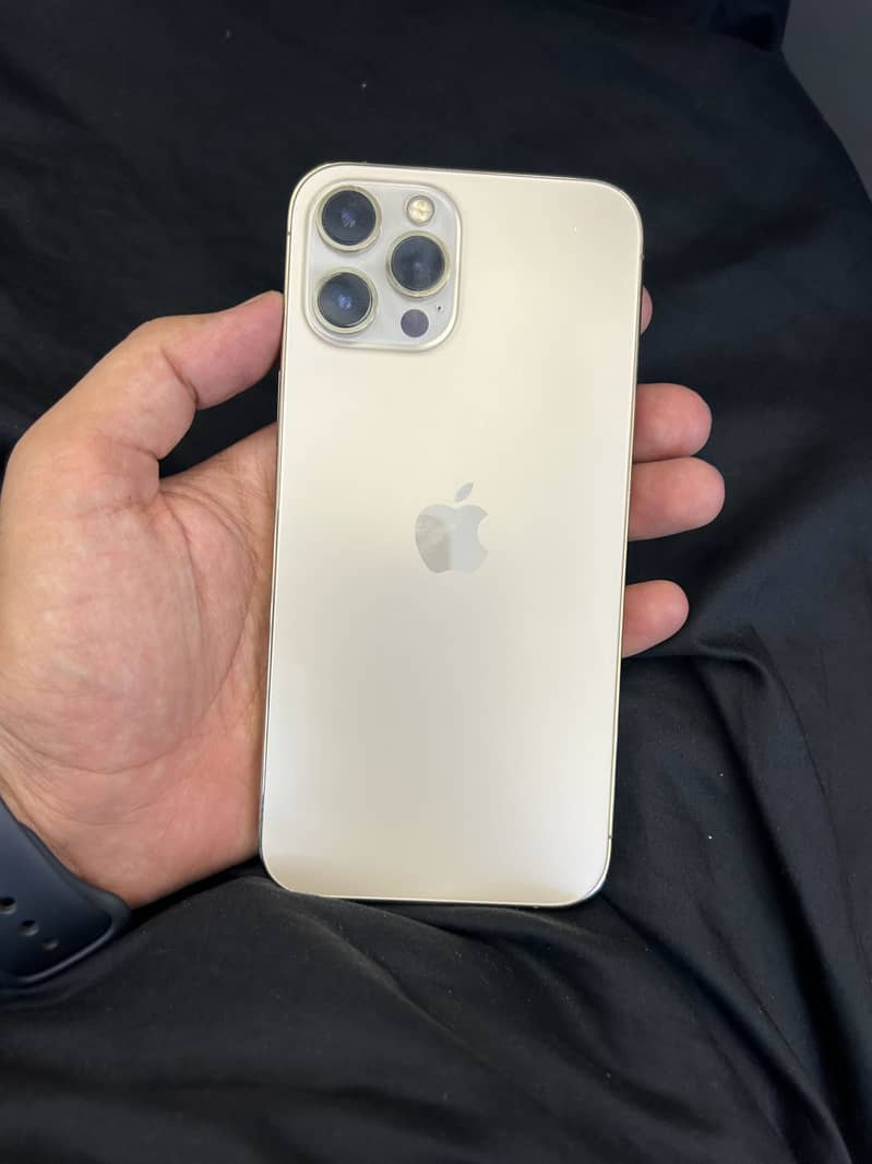 Apple iPhone 12 Pro Max 1