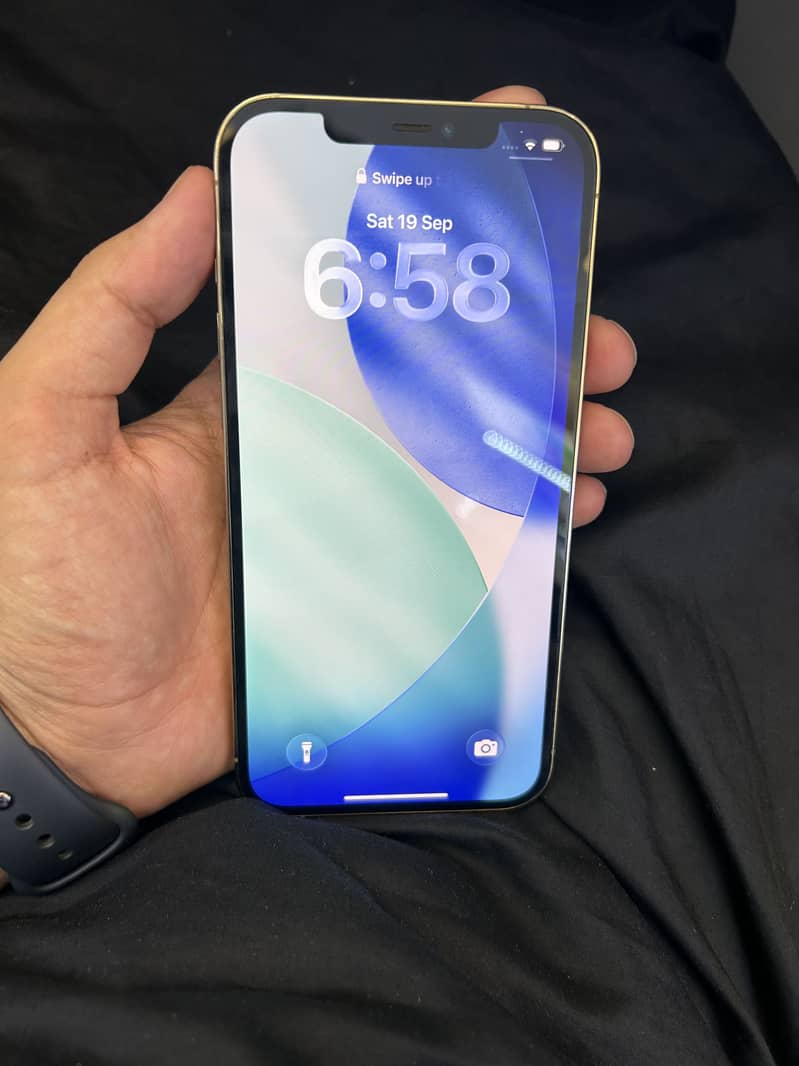 Apple iPhone 12 Pro Max 2