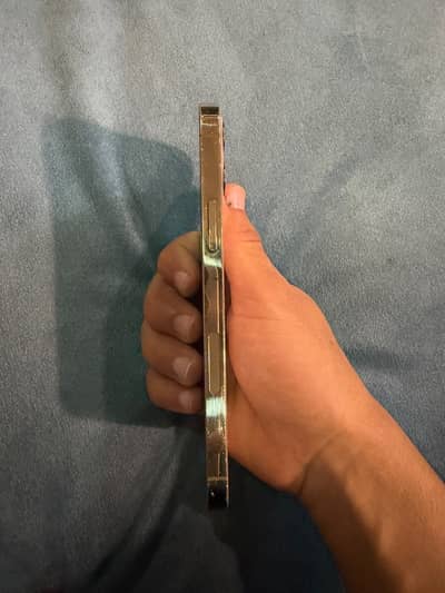 Apple iPhone 12 Pro