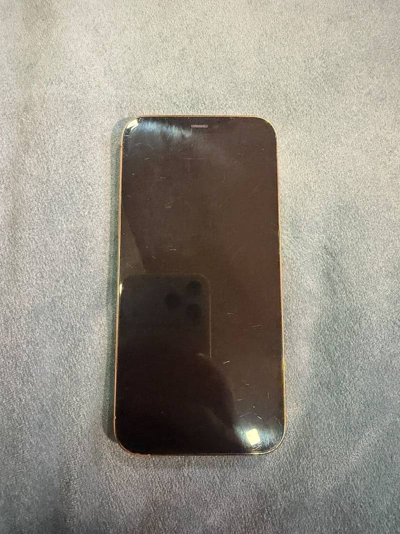 Apple iPhone 12 Pro 1
