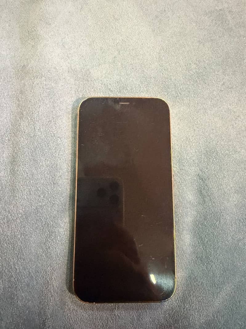 Apple iPhone 12 Pro 3