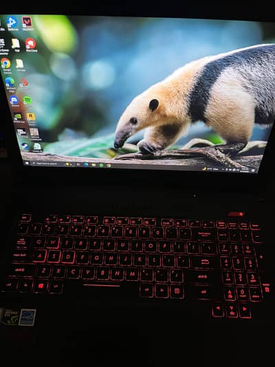 Asus fx503 (Gaming Laptop)