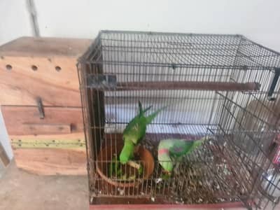 forsale