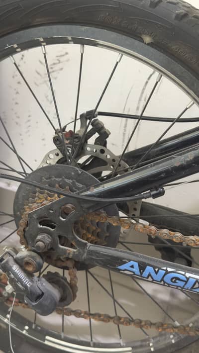 Cycle
