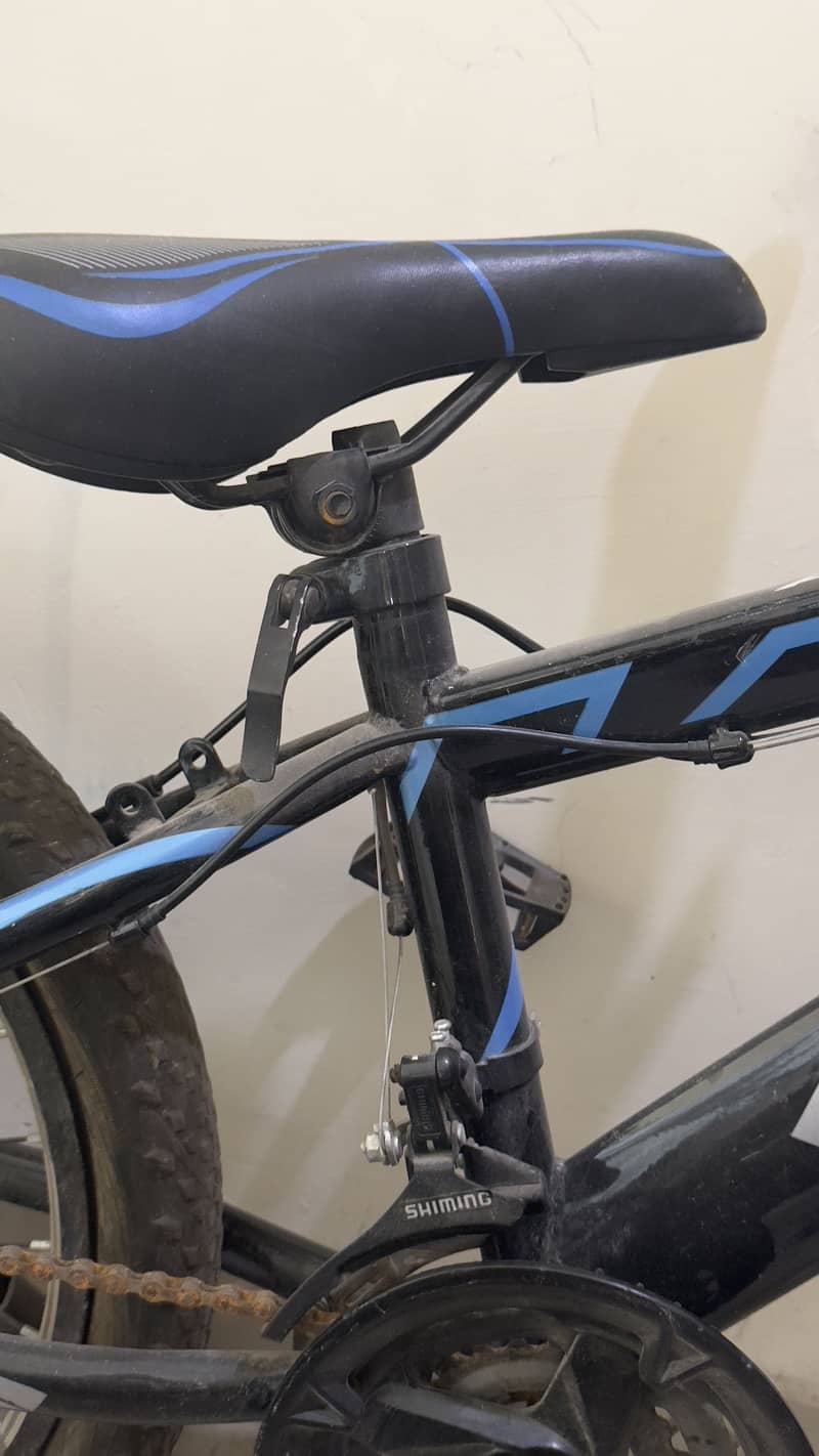 Cycle 6