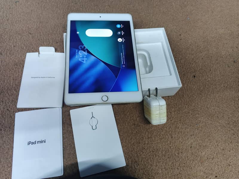 iPad mini 5 0