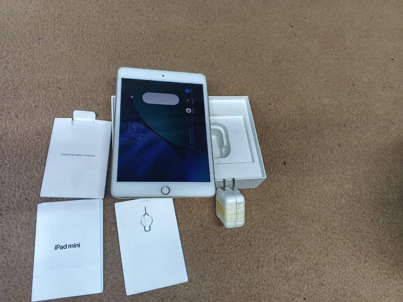 iPad mini 5 1