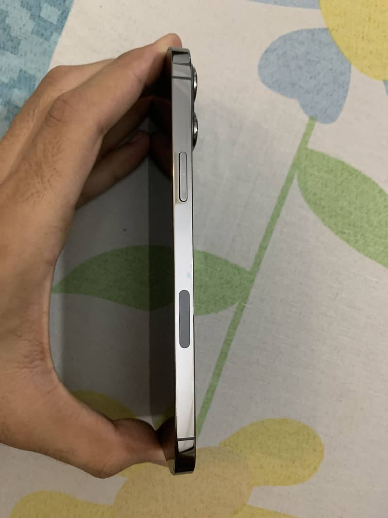 iPhone 13 Pro Max 1