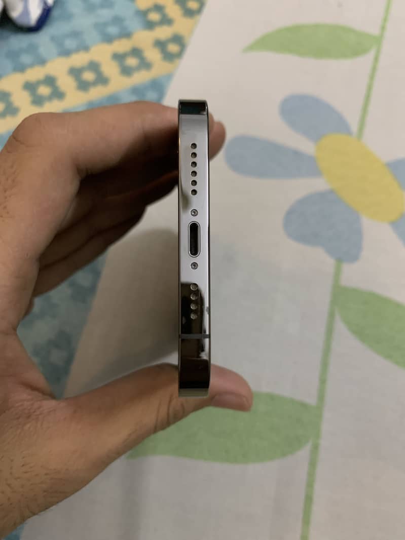 iPhone 13 Pro Max 2