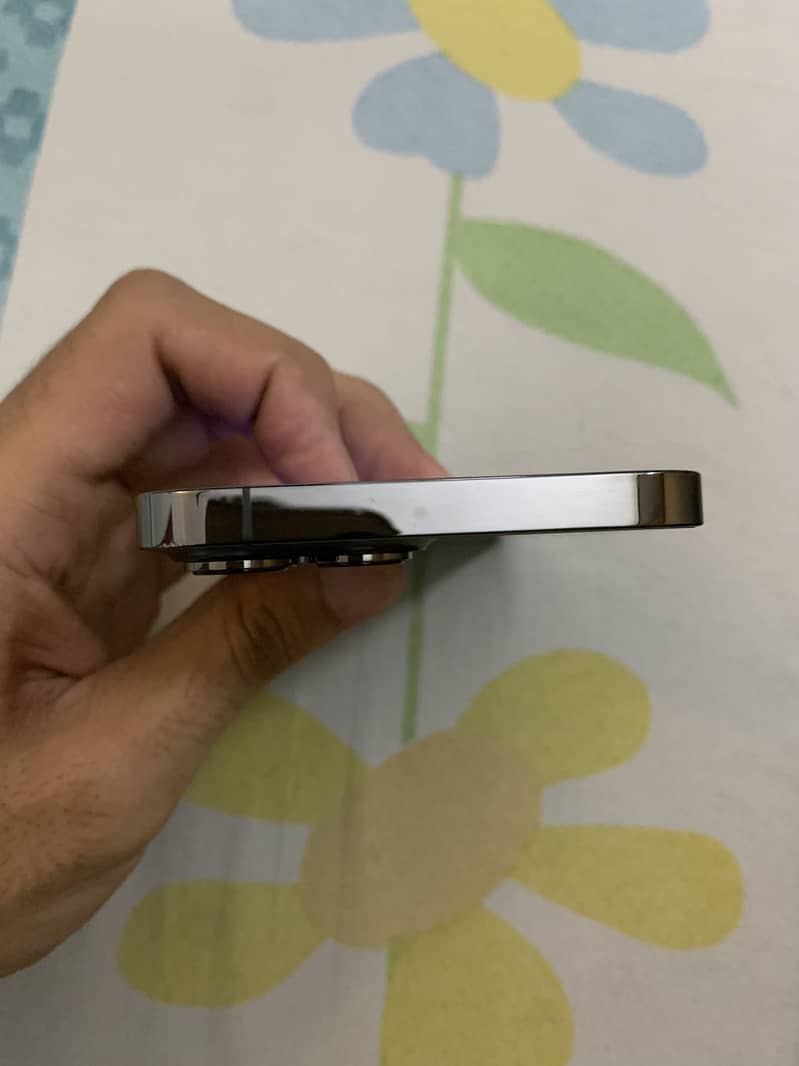iPhone 13 Pro Max 6