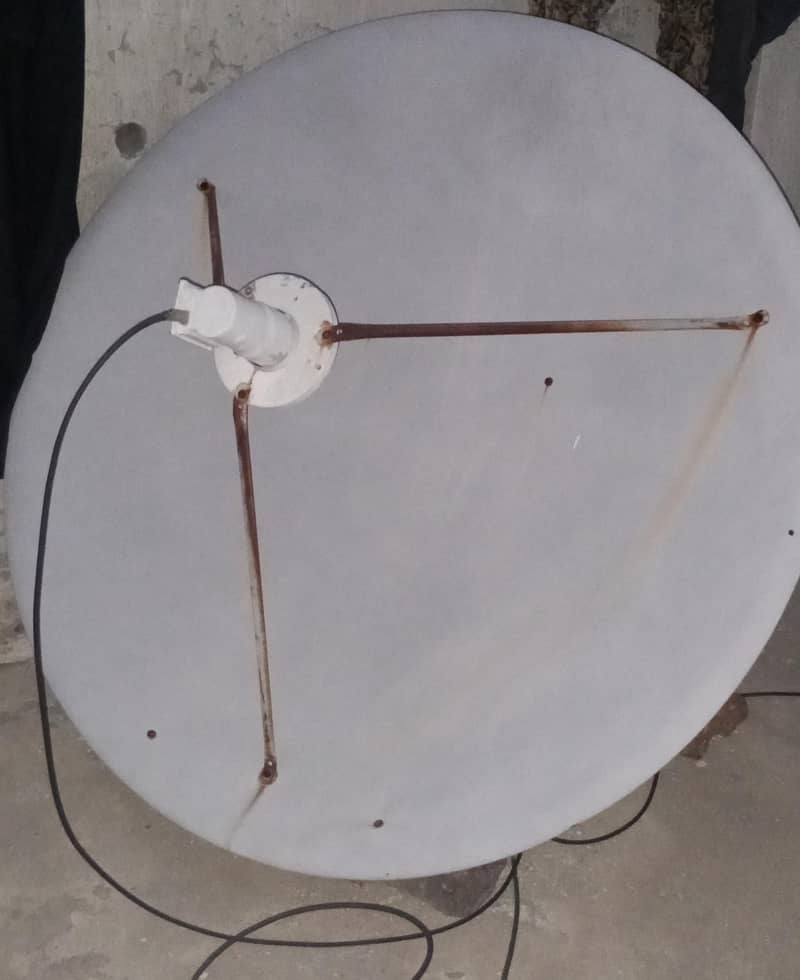 F Dish 1