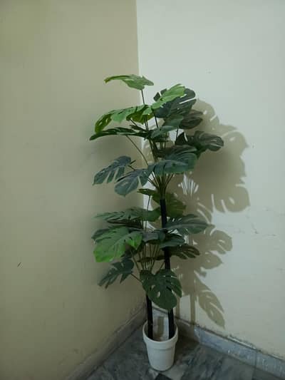 artificial plant