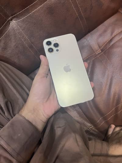 Apple iPhone 12 Pro Max