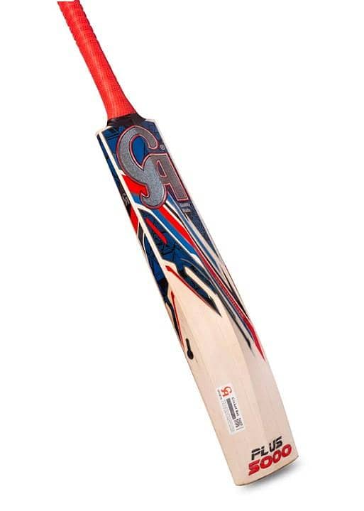 CA PLUS 5000 CRICKET BAT 1