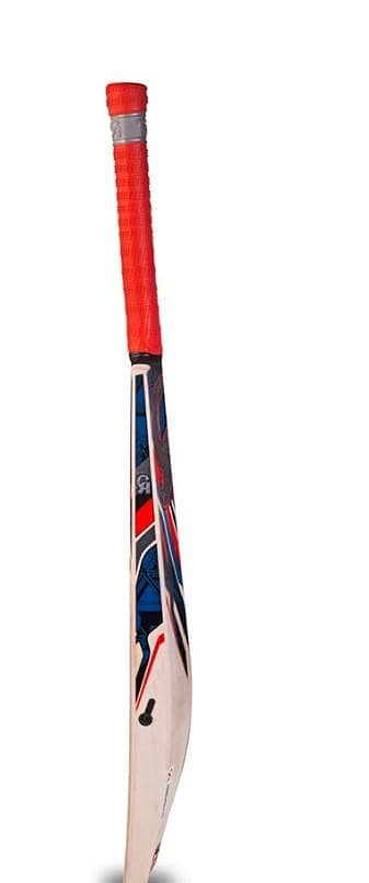 CA PLUS 5000 CRICKET BAT 2
